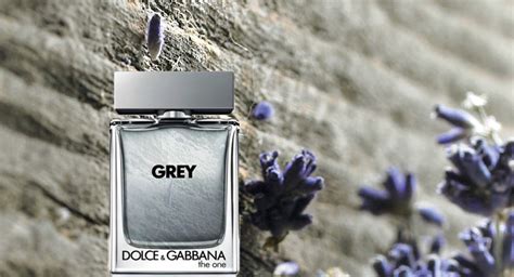 dolce gabbana grey perfume|authentic dolce gabbana perfume.